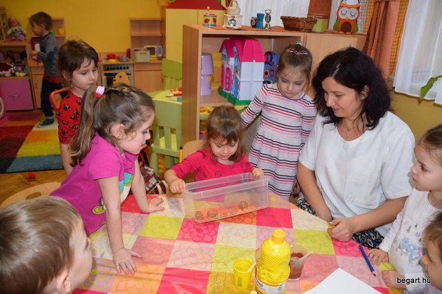 Január a Zengőerdő csoportban