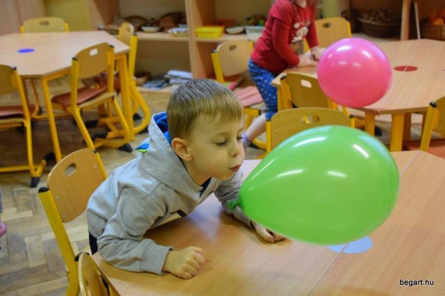 Január a Zengőerdő csoportban