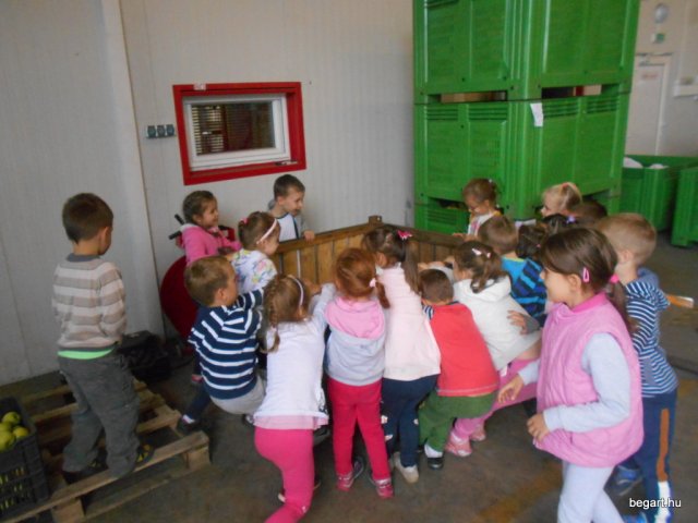 Almaszedés Csorváson