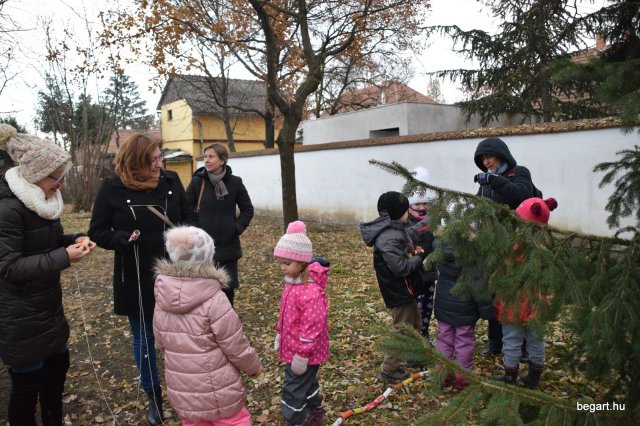 December a Zengőerdőben