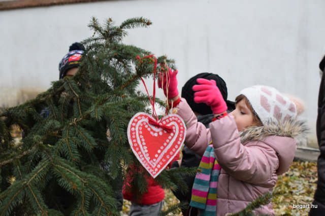 December a Zengőerdőben