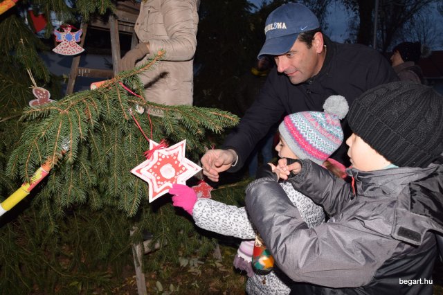 December a Zengőerdőben