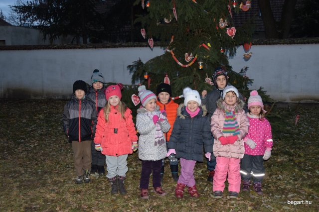 December a Zengőerdőben
