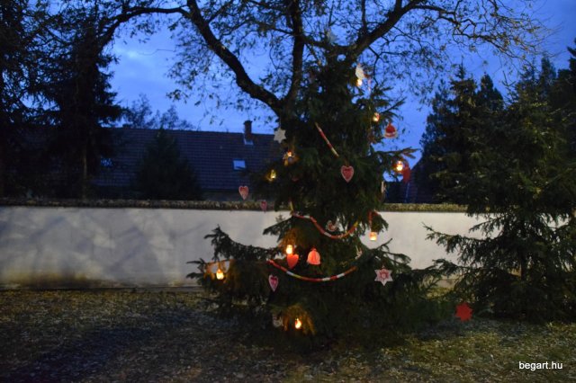 December a Zengőerdőben