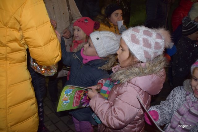 December a Zengőerdőben