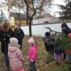 December a Zengőerdőben
