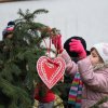 December a Zengőerdőben