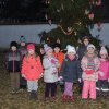 December a Zengőerdőben