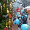December a Zengőerdőben