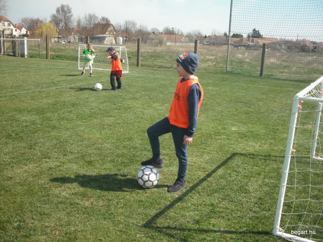 Ovifocisok terepen