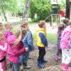Kirándulnak a Zengőerdő csoportos gyerekek