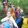 Kirándulnak a Zengőerdő csoportos gyerekek