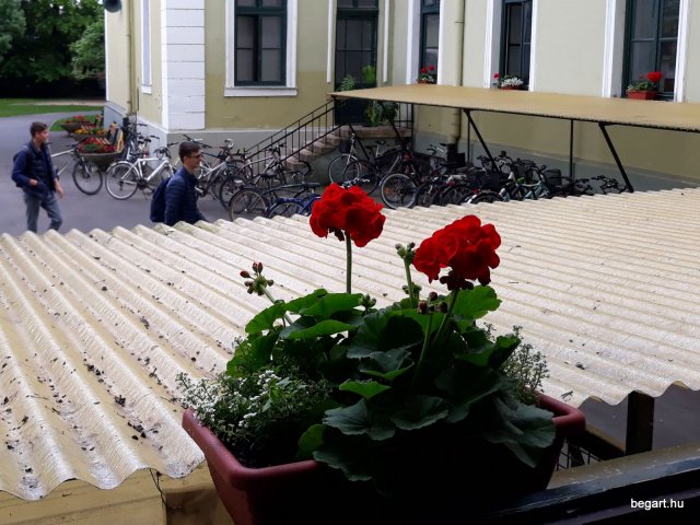Termtud_het