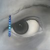 molnar_andrea5