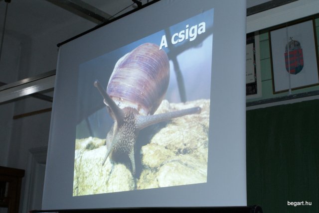 Deli Tamás múzeológus előadása