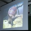 Deli Tamás múzeológus előadása