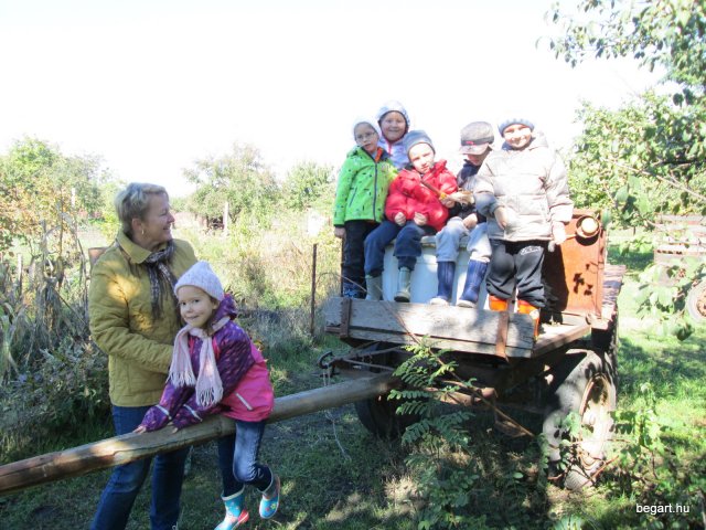 Állatok világnapja