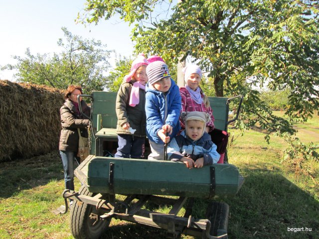 Kicsik a tanyán