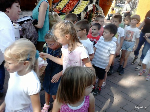 KÖZFOGLALKOZTATOTTAK NAPJÁN