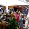 KÖZFOGLALKOZTATOTTAK NAPJÁN