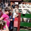 KÖZFOGLALKOZTATOTTAK NAPJÁN
