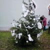 Advent kezdet a „Csodavárban”