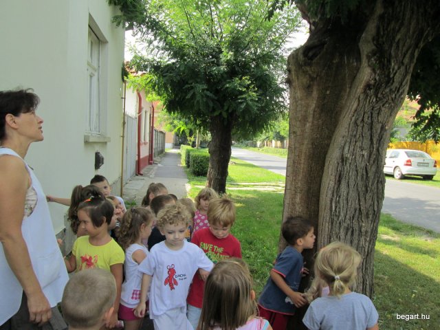 Zengőerdő - KÖZFOGLALKOZTATOTTAK NAPJA