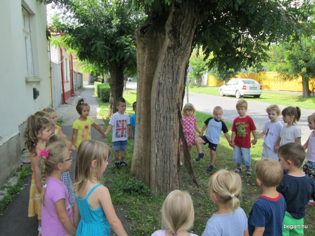 Zengőerdő - KÖZFOGLALKOZTATOTTAK NAPJA