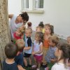 Zengőerdő - KÖZFOGLALKOZTATOTTAK NAPJA