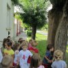 Zengőerdő - KÖZFOGLALKOZTATOTTAK NAPJA