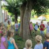 Zengőerdő - KÖZFOGLALKOZTATOTTAK NAPJA