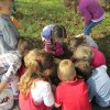 Zengőerdő - KÖZFOGLALKOZTATOTTAK NAPJA