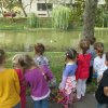 Zengőerdő - KÖZFOGLALKOZTATOTTAK NAPJA