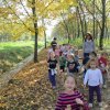 Október a Zengőerdőben