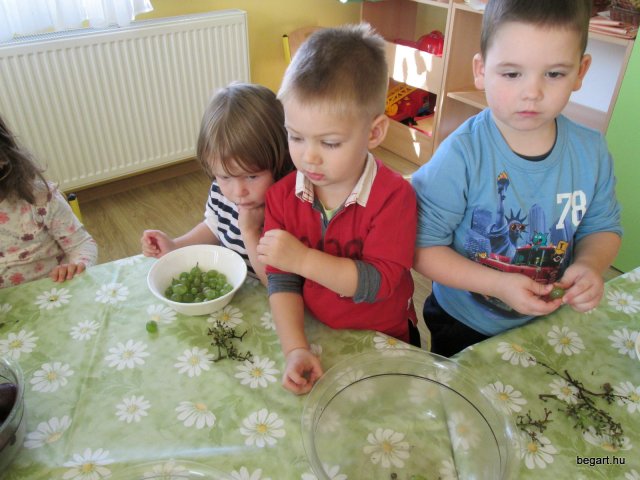 Itt az ősz!