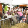 A  közfoglalkoztatottak napján 