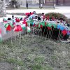 Március 15-Csodavár 