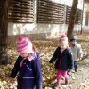 A Csodavár csoportos gyerekek őszi leveleket gyűjtöttek egy szép, napsütéses októberi napon