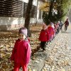A Csodavár csoportos gyerekek őszi leveleket gyűjtöttek egy szép, napsütéses októberi napon