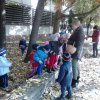 A Csodavár csoportos gyerekek őszi leveleket gyűjtöttek egy szép, napsütéses októberi napon
