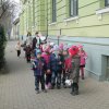 Kikelet hava a Zengőerdőben