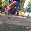 Autómentes nap a ligetben