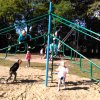 Autómentes nap a ligetben