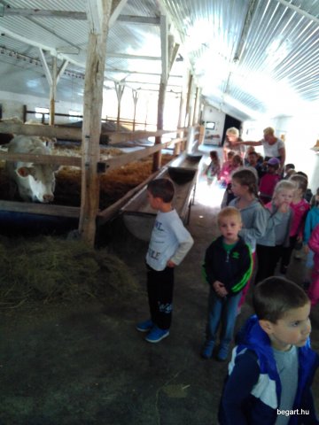 Baukó farm