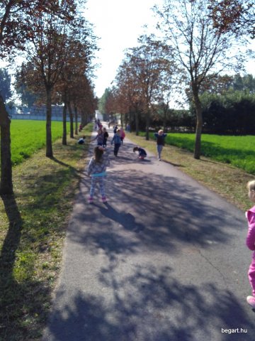 Baukó farm