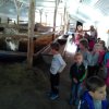 Baukó farm