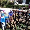 A Csodavár csoportosok a tavasz első sugarait kihasználva sétálni indultak