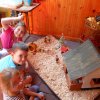 Közfoglalkoztatottak napja