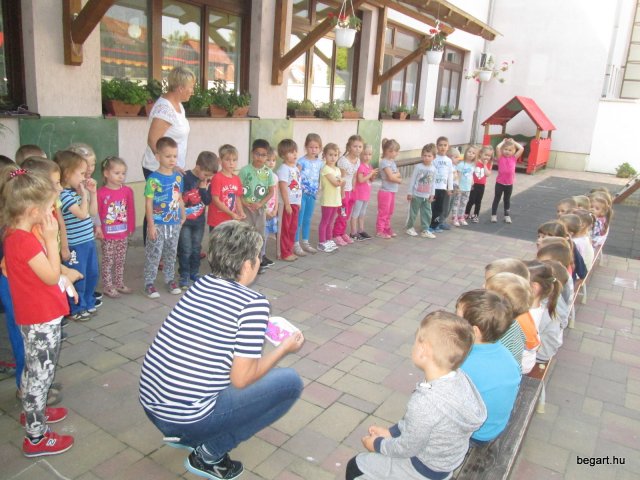 Ovisavató