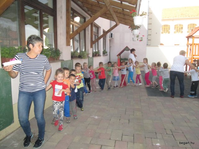 Ovisavató
